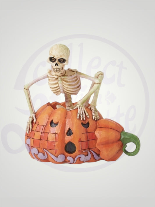 Jim Shore Heartwood Creek - Scared to the Bone Skeleton Pumpkin Halloween Figurine